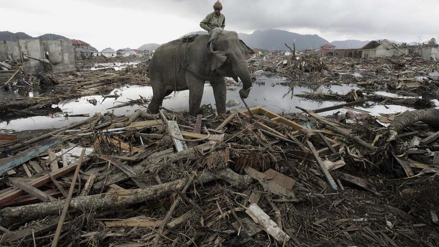 Dua dekade telah berlalu sejak gelombang tsunami dahsyat melanda Aceh pada 26 Desember 2004. (AP Photo/Eugene Hoshiko, File)